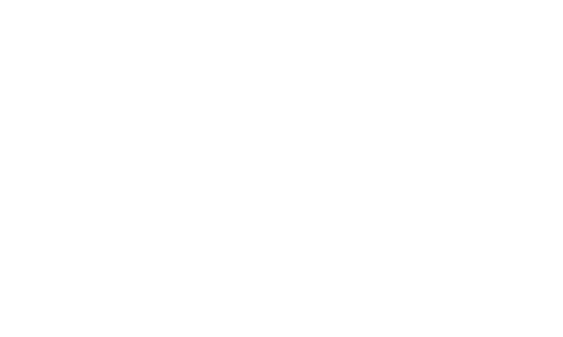 Boston DAO